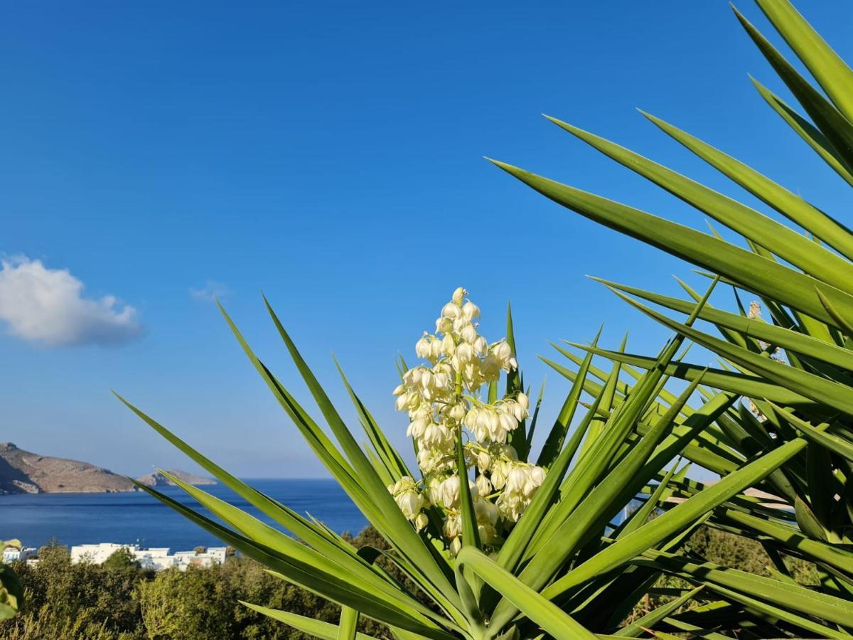 Tilos Villa Livadia  Esterno foto