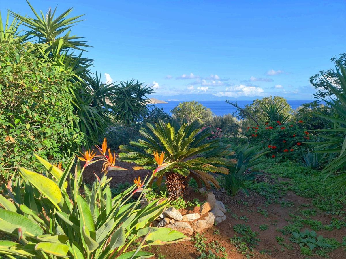 Tilos Villa Livadia  Esterno foto